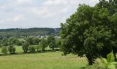 Tour Wandern Herve - 20210626 - Xhendelesse Balade gourmande école  - Photo 7