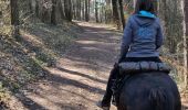 Trail Horseback riding Gresswiller - 2019-02-17 Balade Picnic Dinsheim - Photo 1