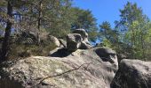 Trail Walking Fontainebleau - Fontainebleau, Gorges du Houx et Gorges de Franchard - Photo 9