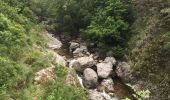 Randonnée Marche Valgorge - Chastanet le tour...allongé  - Photo 2