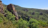 Trail Walking Bagnols-en-Forêt - Gorges du Blavet - Photo 5