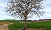 Tour Elektrofahrrad Vauchassis - Balade VAE Pays d'Othe - Photo 8