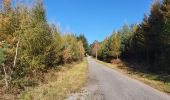 Trail Walking Lierneux - rando reharmont 6/11/2020 - Photo 7