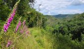 Trail Walking Bourscheid - De Michelau à Goebelsmühle  - de gare en gare 🚂 - CFL 9 - Photo 3
