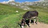Trail On foot Cortina d'Ampezzo - IT-26 - Photo 4