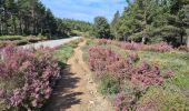 Trail Walking Santa Colomba de Somoza - vers El Acebo - Photo 11