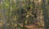 Trail Walking Saint-Bauzile - St-Bauzile Trail Walking Saint-Bauzile - St-Bauzile