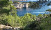 Tocht Stappen Cassis - calanques a cassis q - Photo 7