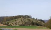 Tocht Te voet Gutsbezirk Kaufunger Wald - Premiumweg P 9 Wacholderpfad - Photo 1