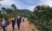 Tour Wandern Bagnols-en-Forêt - Le château du diable - Photo 10