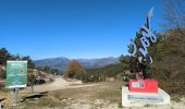 Trail Walking Gorbio - cime de Cabanelles depuis Gorbio - Photo 5