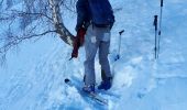 Excursión Esquí de fondo Besse - Col Nazié depuis Besse-en-Oisans - Photo 16