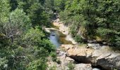 Tour Wandern Florac Trois Rivières - Bedoues - cassagnas espace Stevenson  - Photo 3