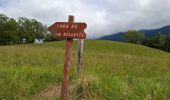 Trail Walking Theys - TOUR DE LA VILLETTE PAR LE PLAN DE LA MALADE - Photo 4