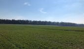 Trail Walking Walcourt - Randonnée autour de Walcourt - Photo 20