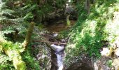 Percorso Marcia Bohinj - Gorges - Photo 4