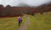 Excursión Senderismo Laruns - tour des lacs d'Ayous  - Photo 6