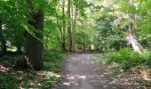 Randonnée Marche Seraing - boncelles, château de plaineveaux +village  - Photo 7