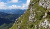 Tocht Stappen Chamaloc - RA Rocher de Chironne - Photo 3