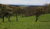 Tour Zu Fuß Künzell-Bachrain - Dietershausen Nordic Walking 3 - Photo 2