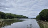 Trail Walking Plouguiel - Autour de la Roche Jaune - Photo 1