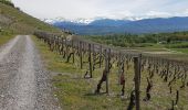 Randonnée Marche nordique Chignin - Chignin - Arbin à travers les vignes et coteaux - Photo 3