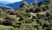 Trail Walking Pierrefeu-du-Var - SityTrail - Pierrefeu du var - les Baisses - Photo 7