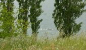 Randonnée Marche Tournefeuille - Toulouse la ramé le tour du lac - Photo 14