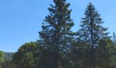 Randonnée Marche Chapelle-des-Bois - Le tour du lac des mortes. - Photo 12