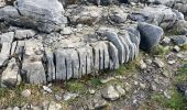 Tour Wandern West Clare Municipal District - Burren - the blue and white trains - Photo 5