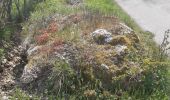 Trail Walking Jalhay - autour de Sart - Photo 7