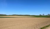 Excursión Senderismo Chaumont-Gistoux - BE-Chaumont-Gistoux - Le Bercuit par Dion-le-Val - blog le bruant wallon - Photo 7