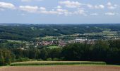 Trail On foot Grafendorf bei Hartberg - Wanderweg G4 - Photo 1