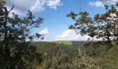 Tocht Stappen Houffalize - tour du lac des 2 ourthes - barrage de Nisramont  - Photo 3