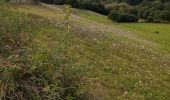 Trail Walking Conques-en-Rouergue - mise en jambes  - Photo 1