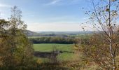 Trail Walking La Louvière - Saint-Vaast / Terrils / 2020-11-03 / 15 km - Photo 19