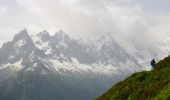 Tocht Stappen Chamonix-Mont-Blanc - Hôtel la Flégère - GR TMB - Lacs de Chéserys - Photo 12