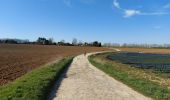 Trail Walking Fleurus - Baulet - Photo 1