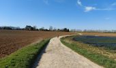 Tour Wandern Fleurus - Baulet - Photo 1