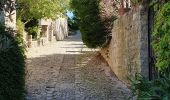 Trail Walking Forcalquier - 20190513. Tour de Forcalquier à pied.  - Photo 5