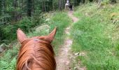 Trail Horseback riding Fraize - Fraize-Orbey - Photo 11