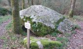 Trail Walking Plouhinec - PR_56_Plouhinec_DA_04_St-Fiacre-Et-Vamen_Circuit4b_20231228 - Photo 4