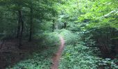 Tocht Stappen Tintigny - La Rando du Bian: Autour de Lahage  - Photo 1