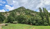 Tour Wandern La Motte-Chalancon - La Motte Chalancon - Plateau de la Chau - Photo 3