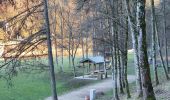 Tocht Stappen Bouillon - Abbaye de Clairefontaine/Bouillon. - Photo 14