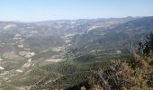 Tour Wandern Saint-Léger-du-Ventoux - la crête de la montagne de bluye - Photo 9