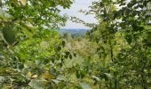 Excursión Bici eléctrica Ronse - Renaix- La Houppe par Ellezelles - Photo 13