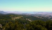 Excursión Senderismo Sanary-sur-Mer - SityTrail - Boucle grotte du Garou  - Photo 18