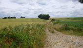 Trail On foot Bierbeek - Hollewegenwandelpad - Photo 4