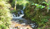 Trail Walking Girmont-Val-d'Ajol - Girmont Val d'Ajol 5,5km  - Photo 2